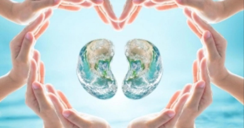 ಕಿಡ್ನಿಯಲ್ಲಿ ಕ್ರಿಯಾಟಿನಿನ್ ಹೆಚ್ಚಾಗುವುದು: ಕಾರಣಗಳು ಮತ್ತು ನಿಯಂತ್ರಣದ ಮಾರ್ಗಗಳು