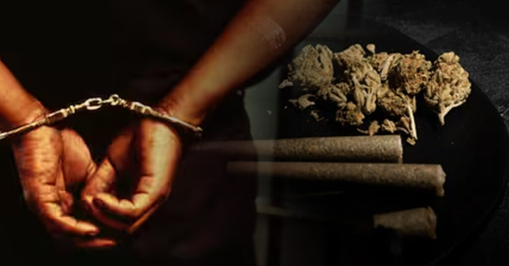 ಮೈಸೂರುನಲ್ಲಿ ಹೈಡ್ರೋಪೋನಿಕ್ ಗಾಂಜಾ ಅಕ್ರಮ ದಂಧೆ ಪತ್ತೆ