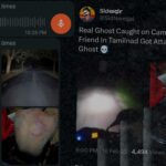 ಮಂಗಳೂರು: ಮಂಜಲ್ಪಾದೆ ಪ್ರದೇಶದಲ್ಲಿ ‘ಭೂತ’ ದಾಳಿ ಎನ್ನಲಾದ ವೈರಲ್ ಫೋಟೋ-ವೀಡಿಯೋಗಳ ಸತ್ಯವೇನು?